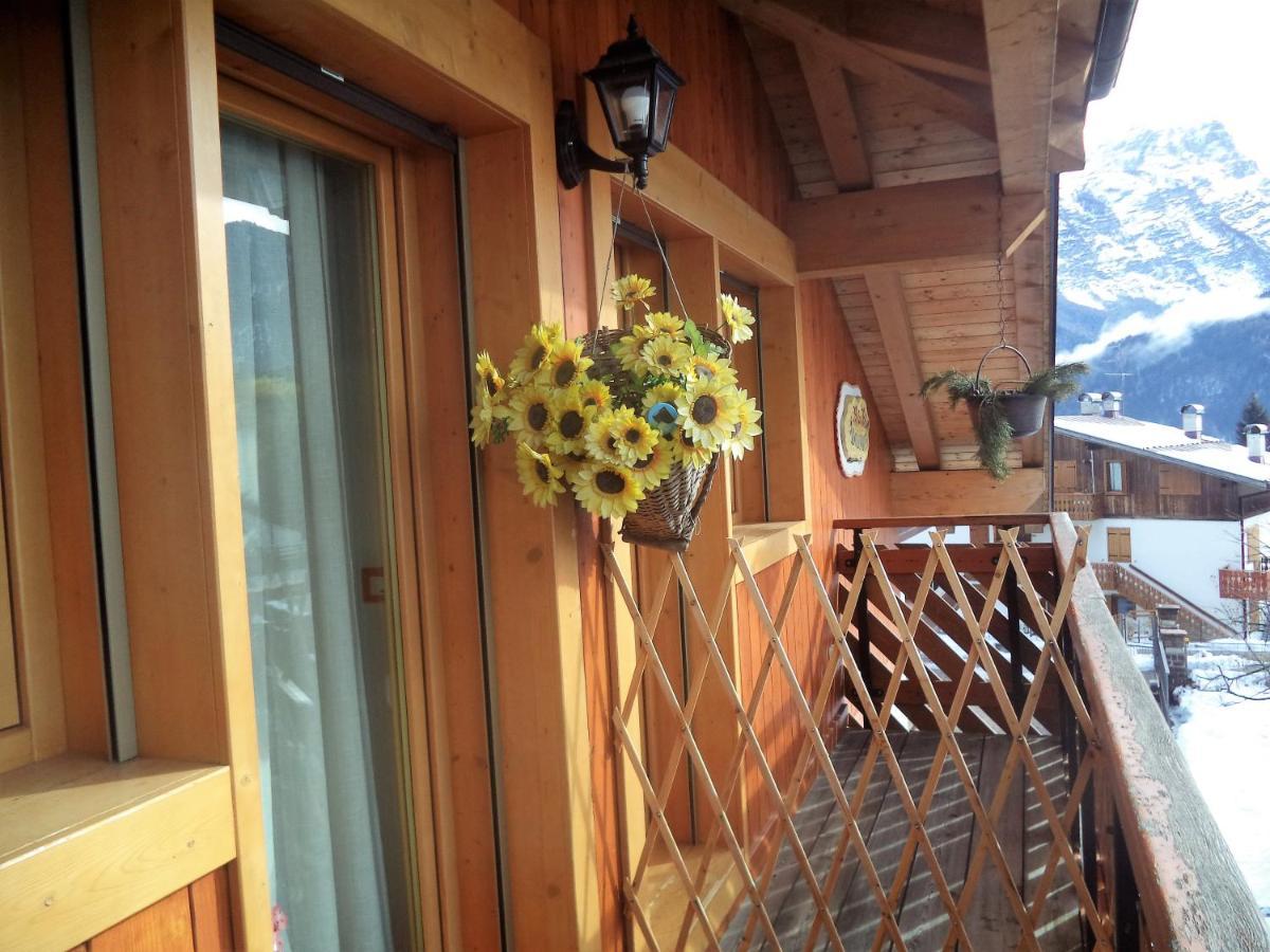 B&B Dolomiti Calalzo di Cadore 외부 사진