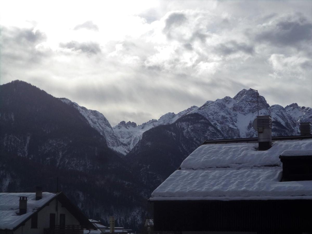 B&B Dolomiti Calalzo di Cadore 외부 사진