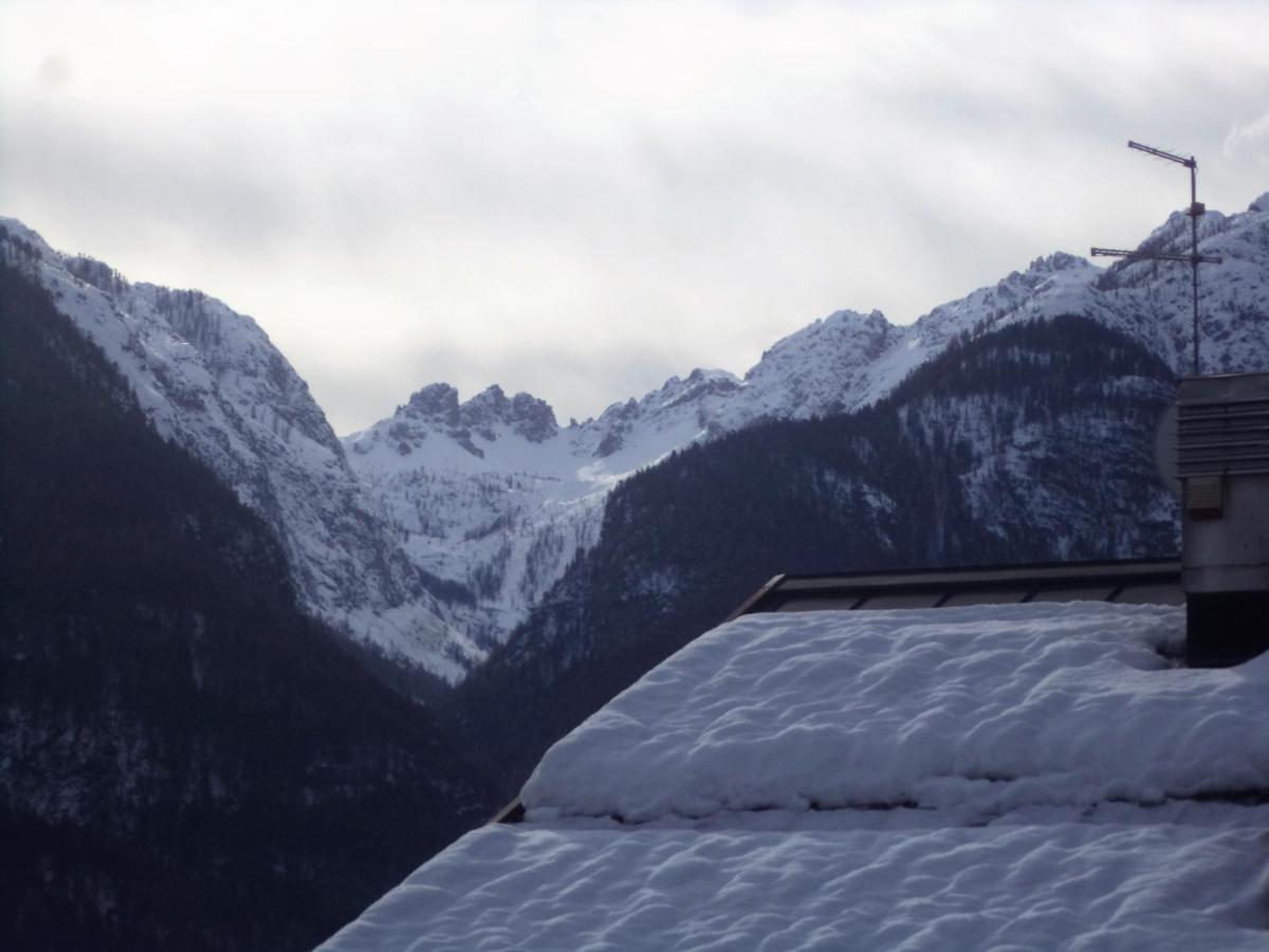 B&B Dolomiti Calalzo di Cadore 외부 사진